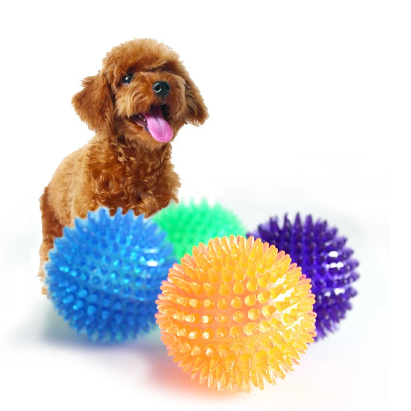 Bola de Brinquedo para Cães